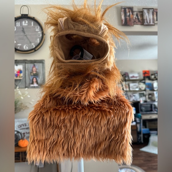 Other - Lion costume for a dog size small medium